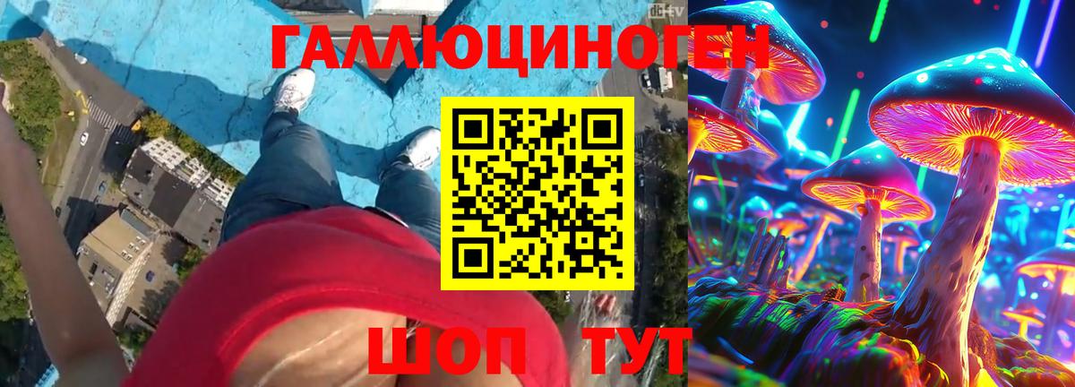 Галлюциногенные грибы мицелий  Вход с VPN  Отрадное 